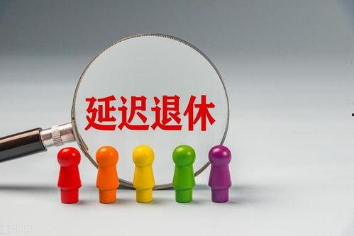 国产毛片久久久久久国产毛片,历史与现状的交织  第3张